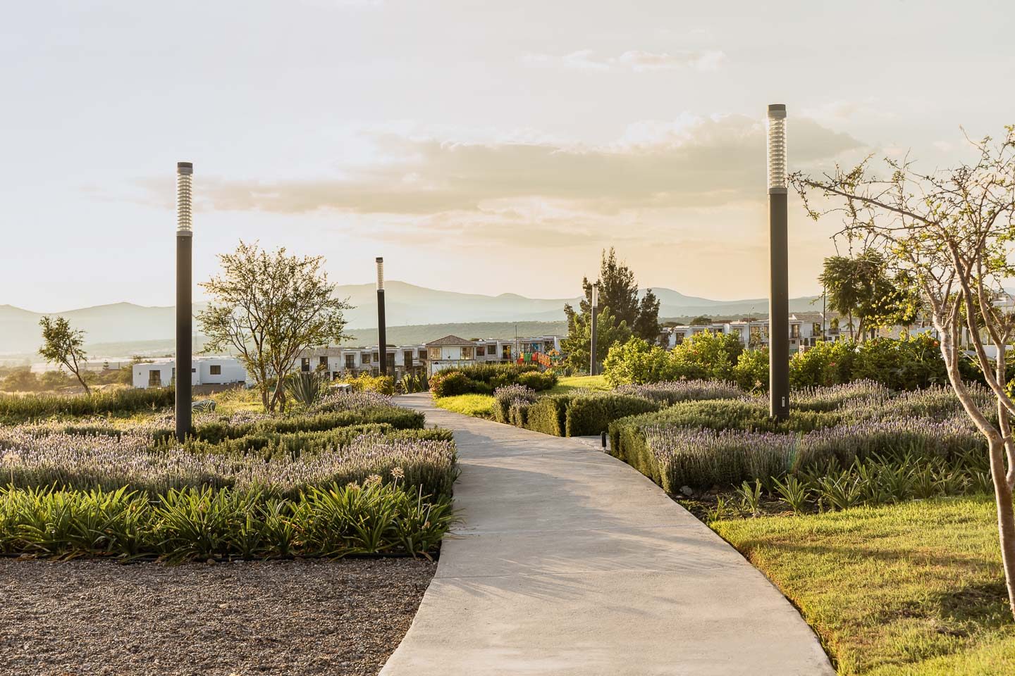 Áreas verdes y andadores de Meseta